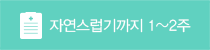自然な仕上がりまで1-2週